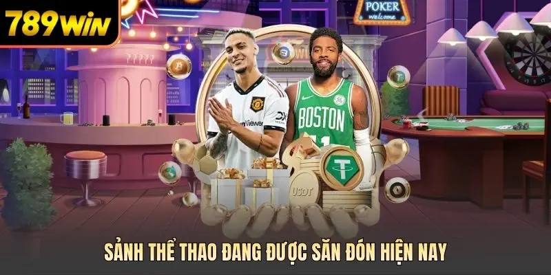 Sảnh thể thao đang được săn đón hiện nay